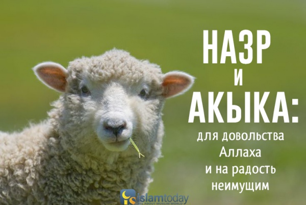 БФ "Закят" ДУМ РТ продолжает прием заявок на назер и акыку-Курбан